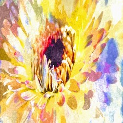Watercolor Floral 12