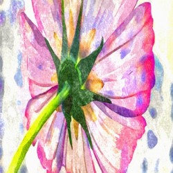 Watercolor Floral 14
