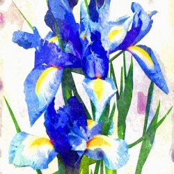Watercolor Floral 18