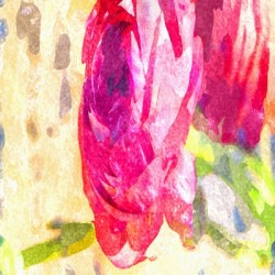 Watercolor Floral 25