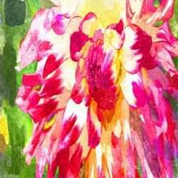 Watercolor Floral 31