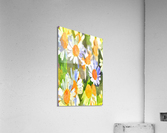 Watercolor Floral 09  Impression acrylique