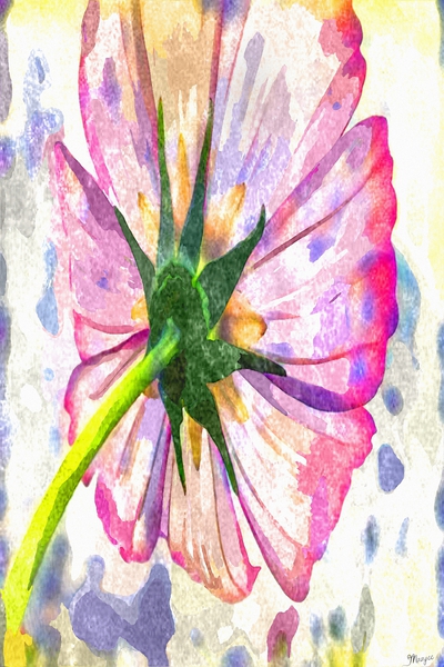 Watercolor Floral 14 Téléchargement Numérique
