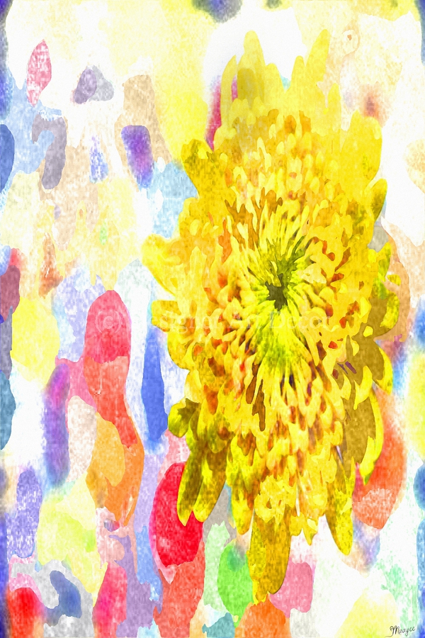 Watercolor Floral 30  Imprimer